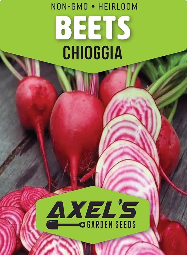 Chioggia Beet Seeds for Planting – Plant & Grow Heirloom Chioggia Beets in Home Outdoor Vegetable Garden, Beta vulgaris – 2 Packets