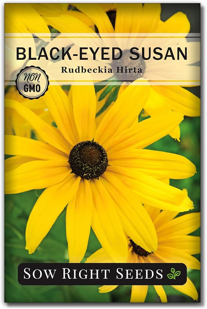 Sow Right Seeds - Black Eyed Susan Flower Seeds for Planting - Non-GMO Heirloom Seeds Packet to Plant a Home Garden - Perennial Wildflowers Attract Pollinators to Yard - Yellow with White Centers (1)