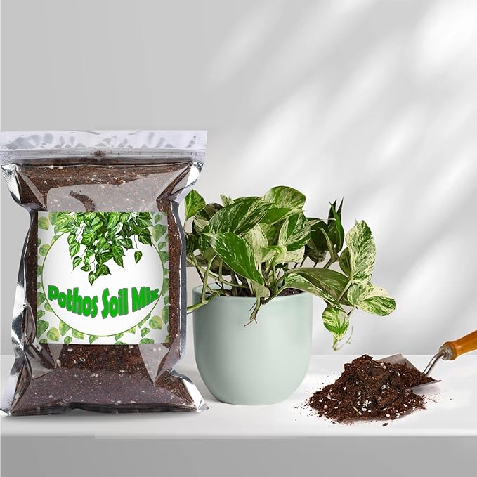 Organic Pothos Soil Mix 1qt, Indoor Plants Potting Mix for All Potted Pothos, Grow Healthy houseplants Indoors