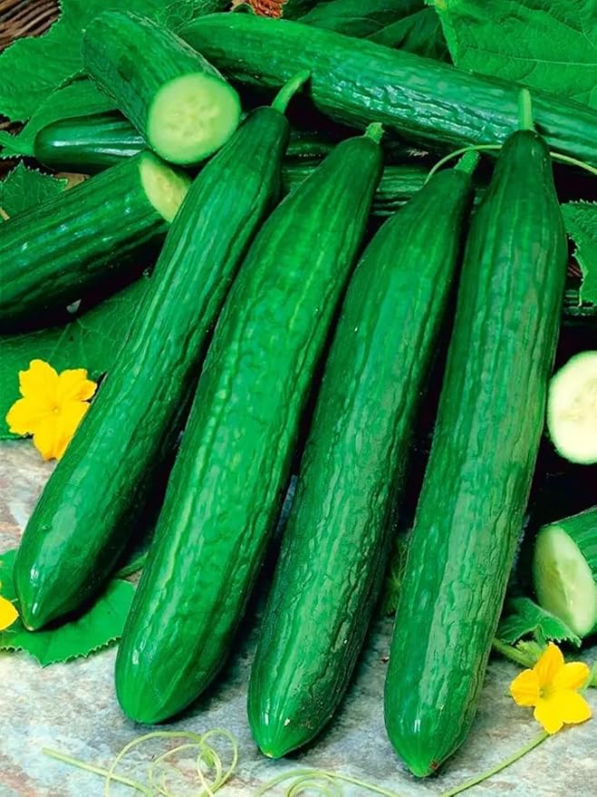 Seeds Cucumber Emelya - Open-Pollinated - Heirloom Vegetable - GMO Free