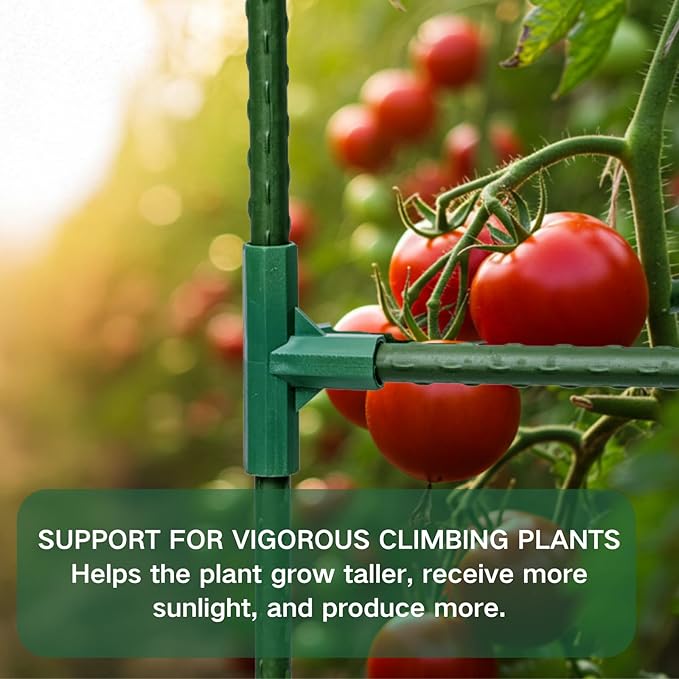 Tomato Cages for Garden&Pots, 6 Pack 50" Plant Support Trellis for Tomatoes, Cucumbers, Beans | Heavy-Duty Steel with Rust-Proof Coating | Garden Stakes for Outdoor Indoor Plants