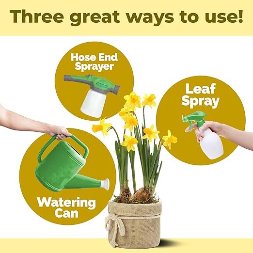 Daffodil Fertilizer – Liquid Plant Food for More Blooms & Stronger Bulb Development, 8 oz