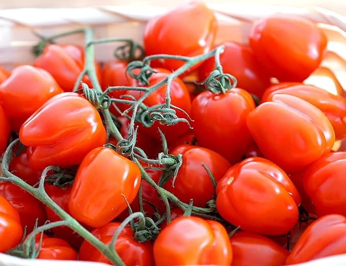 Cherry Pepper Tomato - 20 Cherry Tomatoes Seeds for Planting Sweet Fruit Seeds for Outdoor and Indoor Garden Planting Gardening Gift, Red
