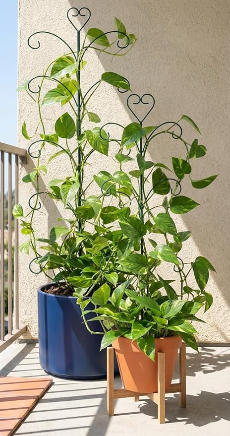 2 Pack Monstera Plant Support, 31” & 46” Adjustable Steel Plant Stakes for Indoor & Outdoor Use, Garden Plant Support for Climbing Potted Plants