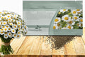 Outsidepride Feverfew Chrysanthemum Seeds - 10000 Pcs. Perennial, Drought Tolerant Flower Seeds for Planting in Pollinator Gardens, Cut Flowers & Low Maintenance Landscaping