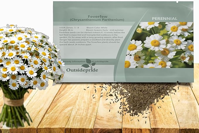 Outsidepride Feverfew Chrysanthemum Seeds - 10000 Pcs. Perennial, Drought Tolerant Flower Seeds for Planting in Pollinator Gardens, Cut Flowers & Low Maintenance Landscaping