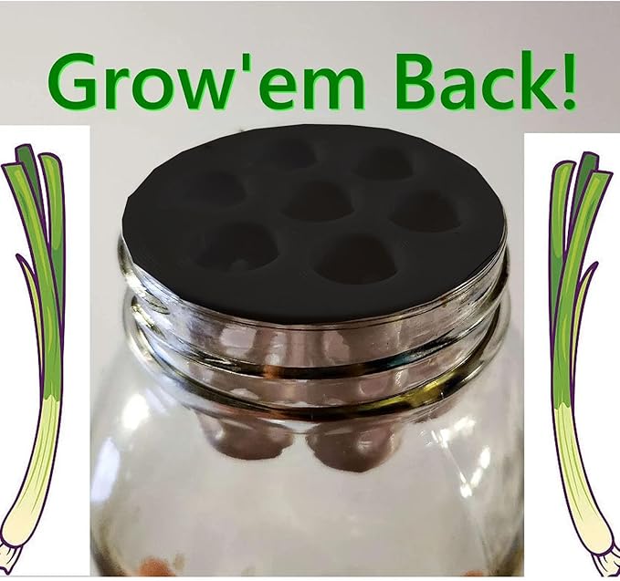 Green Onion Grow for Mason Jar Lid of 6cm,Minimal Kitchen Garden Propagation Station,3D Printed Easy Hydroponic Insert Black