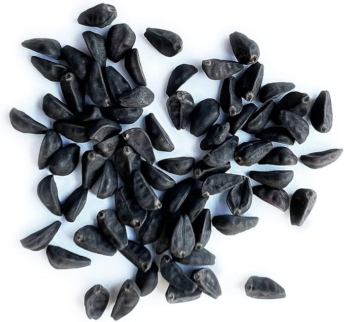 The Old Farmer's Almanac Morning Glory Seeds (Heavenly Blue) - Approx 50 Flower Seeds - Premium Non-GMO, Open Pollinated, USA Origin