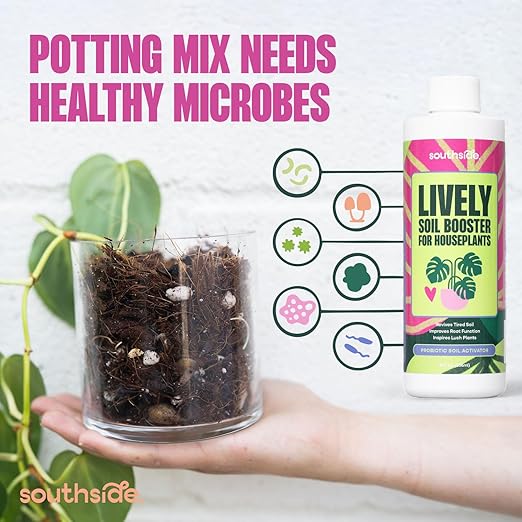 Southside Plants Lively Soil Conditioner for Houseplants – Repot Less, Revive Tired Potting Soil, Improve Drainage & Nutrient Uptake – Beneficial Bacillus Indoor Plant Booster