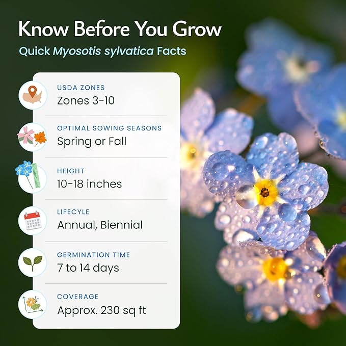 Created by Nature Forget Me Not Seeds, 5,000 Blue Biennial Wildflower Seeds