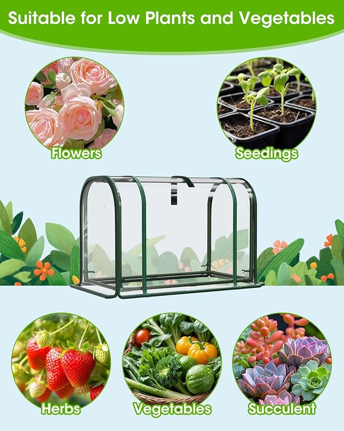 Mini Greenhouse Indoor Outdoor, 23.6*16.2*12.2 Inch Portable Tabletop Plant Greenhouse for Plant Growth and Seedling Propagation, Small Greenhouses for Garden Balcony Windowsill Home Use