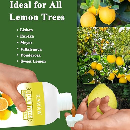 Liquid Lemon Tree Fertilizer - 10oz Microbial Organic Citrus Tree Fertilizer for Potted Trees & Indoor Plants, Meyer Lemon Tree Food, Concentrated Nutrient Solution