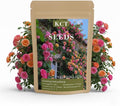 600+ Climbing Rose Seeds for Planting Outdoors - Vibrant Vine Flower, Long-Blooming Ornamental Garden Blooms (Mixed)