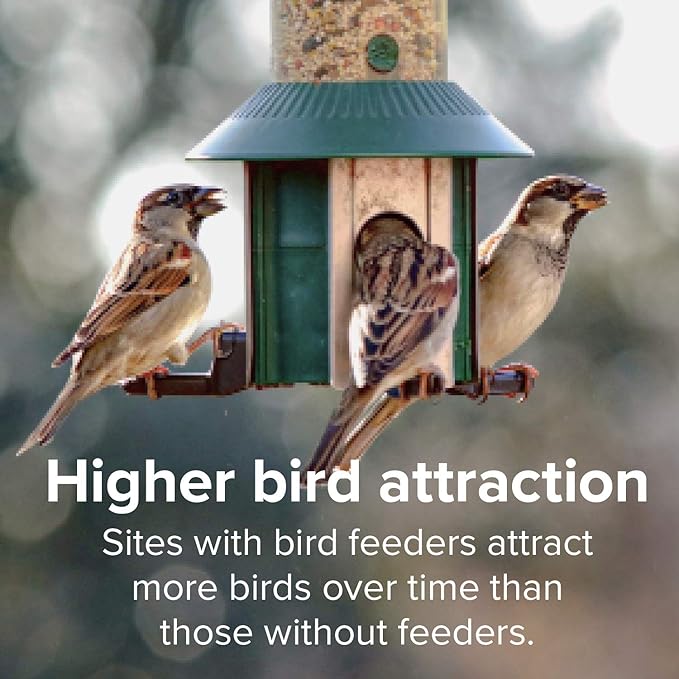 Blue Seal Woodpecker Mix Wild Bird Seed | Premium Blend of Nuts, Sunflower Seeds, and Fruit | Attracts Wide Variety of Wild Outside Birds | Convenient Shell-Free Mix | Made in USA | 20 Pound Bag