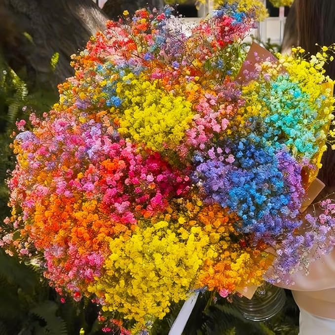 1100+ Mix Color Baby's Breath Flower Seeds for Planting-Non-GMO Heirloom Plant Seeds Garden Outdoor