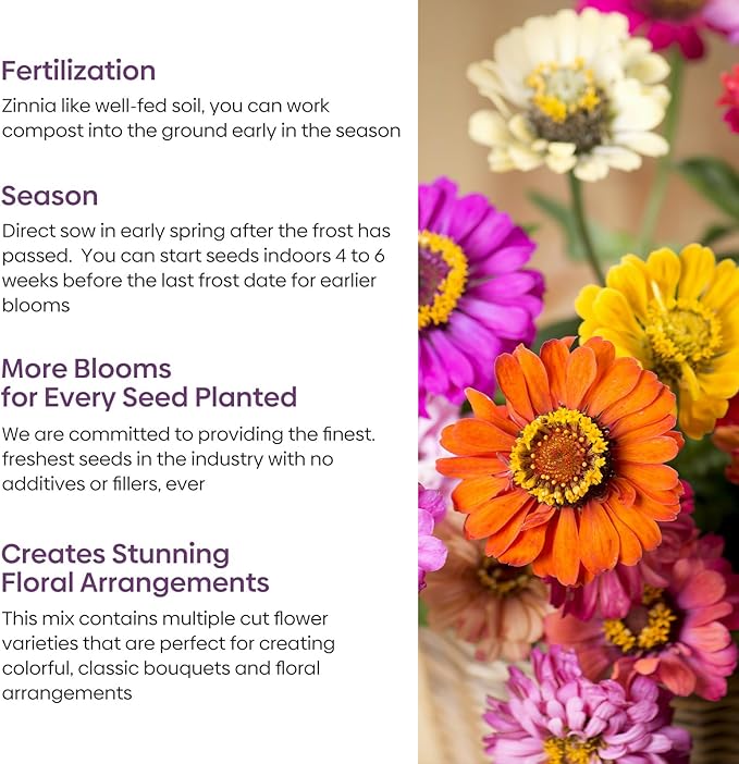 Zinnia Seeds Mix, 1 Oz, Over 3,000 Flowers Seeds, 5 Varieties (Pink, Yellow, Orange, White, Purple), Mixed Colors and Large Blooms,Open Pollinated - Bulk