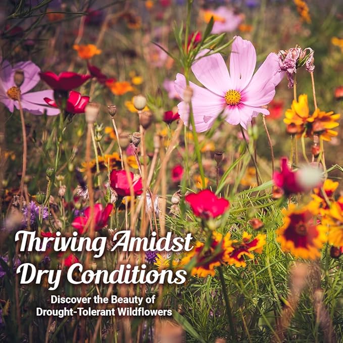 Drought Resistant Wildflower Seeds - 1oz, Open-Pollinated Bulk Flower Seed Mix for Beautiful Perennial, Annual Garden Flowers - No Fillers - 1 oz Packet