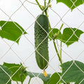 1 Piece White Jute Net Plant Support Netting 6.6 x 8 ft Heavy Duty Garden Plant Trellis Netting for Climbing Outdoor Indoor Grow Net for Cucumber Vine Tomatoes Peas Flower Fruits Vegetables