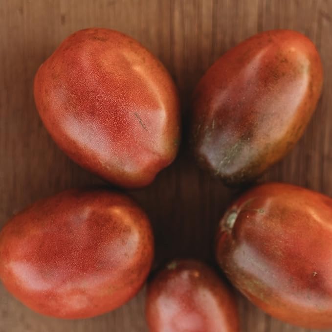 Ukrainian Purple Plum Paste Tomato - 50 Seeds - Rare Heirloom Variety, Great for Canning, USA-Grown, Non-GMO Vegetable Seeds for Planting Outdoors in The Home Garden, Thresh Seed Company