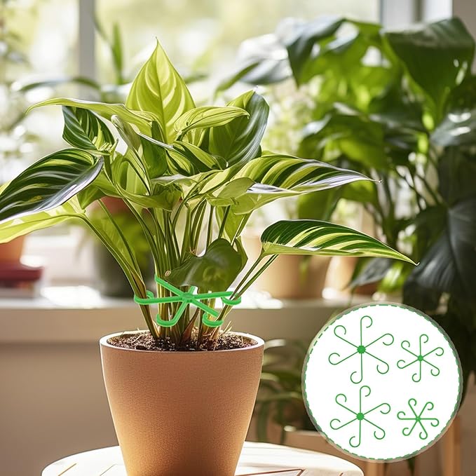 8pcs Plant Stem Support Climbing Houseplant Support Stakes for Indoor Plants Reusable Plastic Climbing Plant Support Plant Trellis Indoor Ideal Plant Support for Thriving Growth