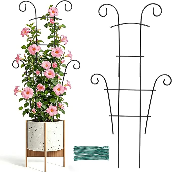 24 Inch Plant Trellis for Potted Plants Outdoor，Larger 2P Metal Garden Trellis for Climbing Plants Indoor Outdoor，Fan Shape Houseplant Monstera Trellis for Hoya Pothos Vine