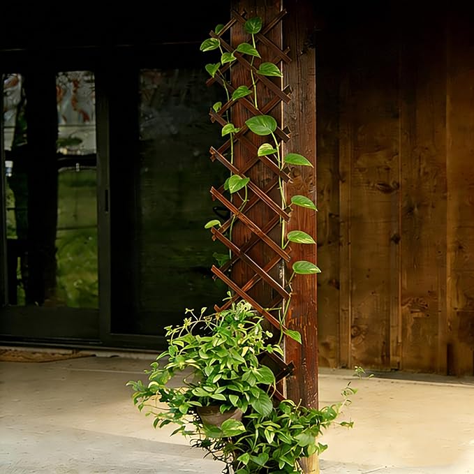 Expandable Garden Trellis, 13" x 68" Thickened Wooden Lattice Trellis for Climbing Plants Outdoor Ivy Vine Rose Clematis for Garden Fence Wall Patio Room Decor (1)