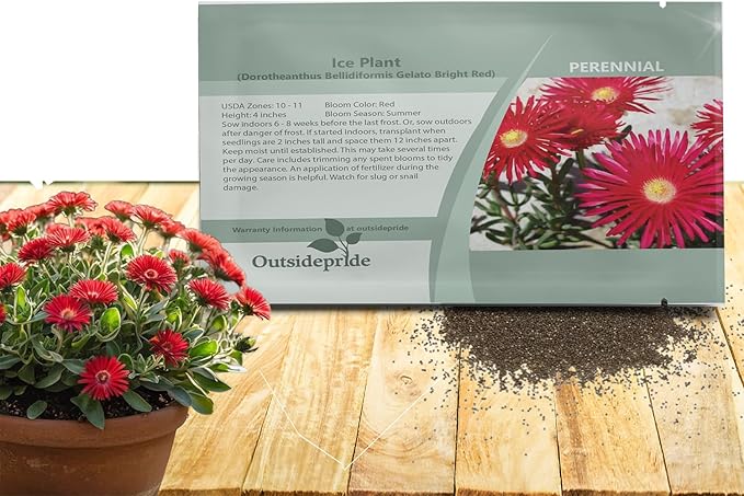 Outsidepride Gelato Red Ice Plant Seeds - 5000 Pcs Perennial, Drought Tolerant Ground Cover Seeds for Planting Vibrant Trailing Blooms, Ideal for Sunny Gardens & Xeriscape Landscaping
