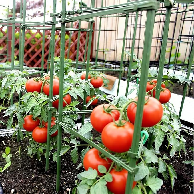Orgrimmar 4 Pack Tomato Trellis & Cages, Plant Support Stakes for Outdoor Vertical Garden, Climbing Plants, Vegetables, Tomatoes, Cucumbers