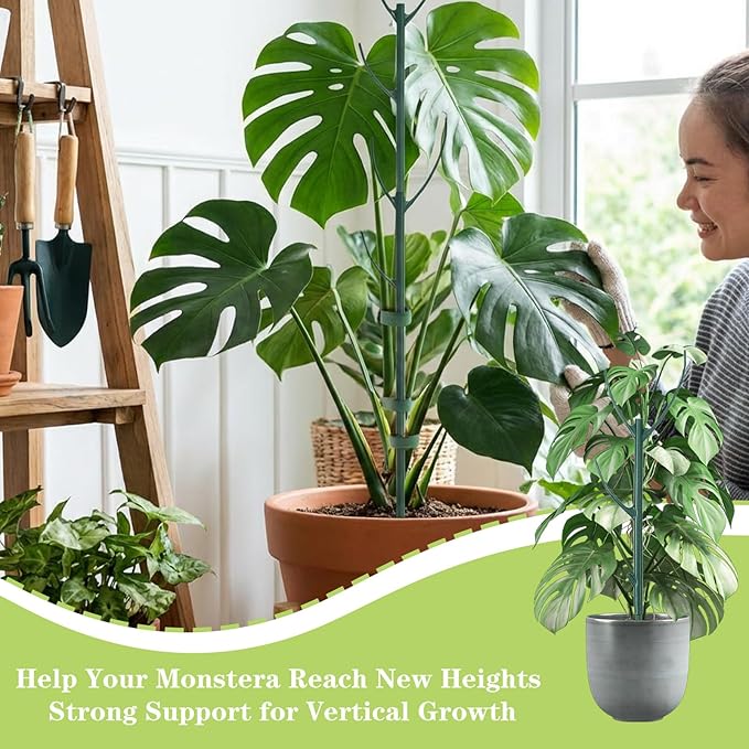 5 Pack Stackable Plant Support Stakes Stem Holder Plant Support Structures Pole Garden Cage Plant Stakes Accessories Climbing plant Sticks Monstera Potted Indoor Outdoor Houseplant with Garden Ties