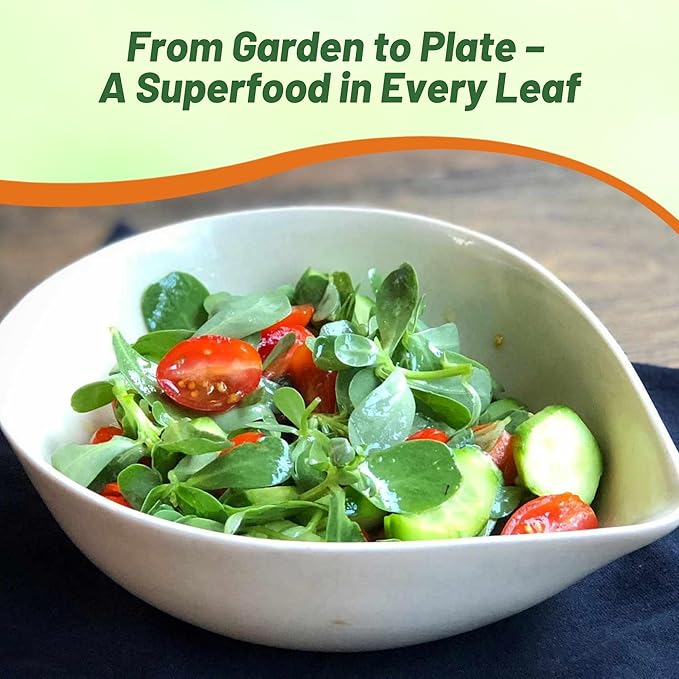 Outsidepride Scarlet Purslane Seeds for Planting - 50 Pcs Annual, Easy to Grow, Vitamin-Rich & Drought Tolerant Succulent Seeds for Culinary, Xeriscaping, Containers & Hanging Baskets