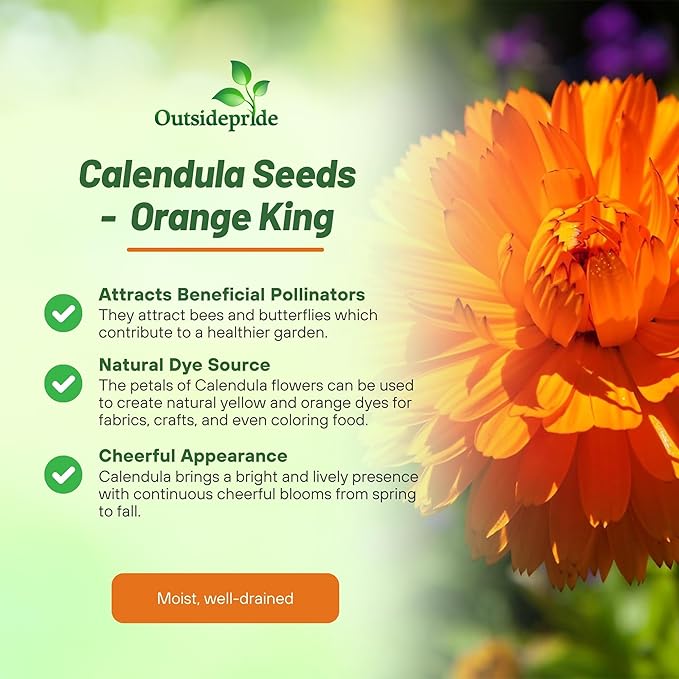 Outsidepride Orange King Calendula Seeds - 2000 Pcs Annual Edible Flower Seeds for Planting for Dishes & Wellness Uses, with Vibrant Blooms for Cut Flower, Container, & Pollinator Gardens