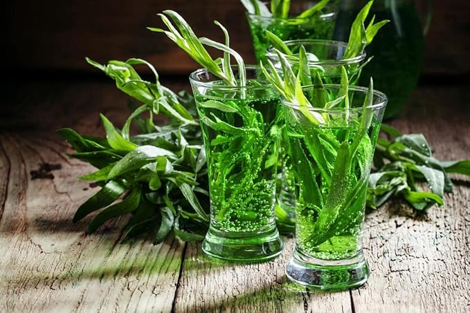 NIKA SEEDS - Seeds Herb Russian Tarragon Heirloom Estragon - 500 Seeds