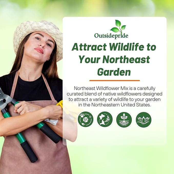 Outsidepride Northeast Wild Flower Seed Mix - 5 lbs Premium Blend of Vibrant Biennial & Annual Wildflower Seeds for Northeastern States, Ideal for Meadows, Borders & Gardens, & Attracting Pollinators