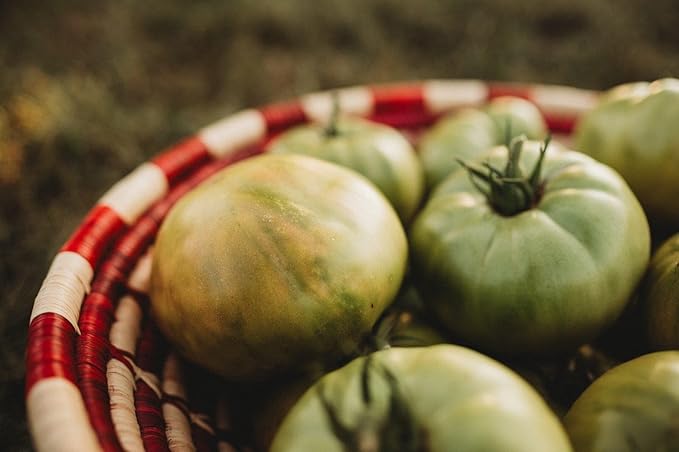 Aunt Ruby's German Green Tomato - 50 Seeds - Unique Heirloom Variety, Sweet & Subtly Spicy Flavor, Non-GMO Heirloom Tomato Seeds for Planting in The Home Garden, Thresh Seed Company