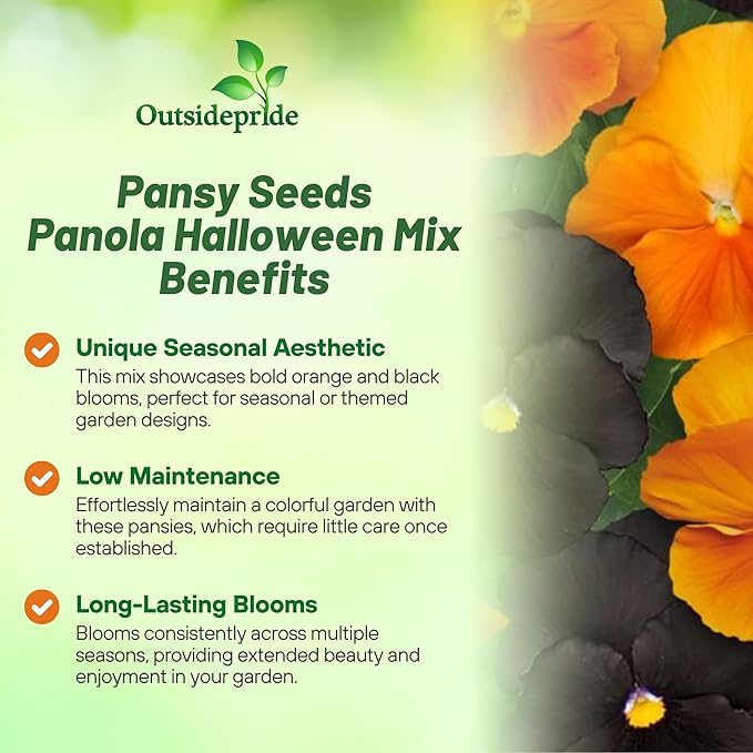 Outsidepride Panola Halloween Mix Viola Pansy Seeds for Planting - 50 Pcs. Biennial, Cold-Hardy & Pollinator Friendly Flowers with Fragrant Blooms for Garden Beds, Borders & Container Displays
