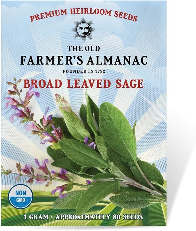 The Old Farmer's Almanac Heirloom Sage Seeds (Broad Leaved Sage) - Approx 70 Seeds - Non-GMO, Open Pollinated