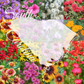 South Carolina Bulk Perennial Wildflower Seed Mix 1lb Covers 2,000sq-ft - Attract Pollinators, Multi-Color Blooms - Southeast US Species Plant in Spring/Fall, Earth-Friendly Packaging (1/2 Pound)