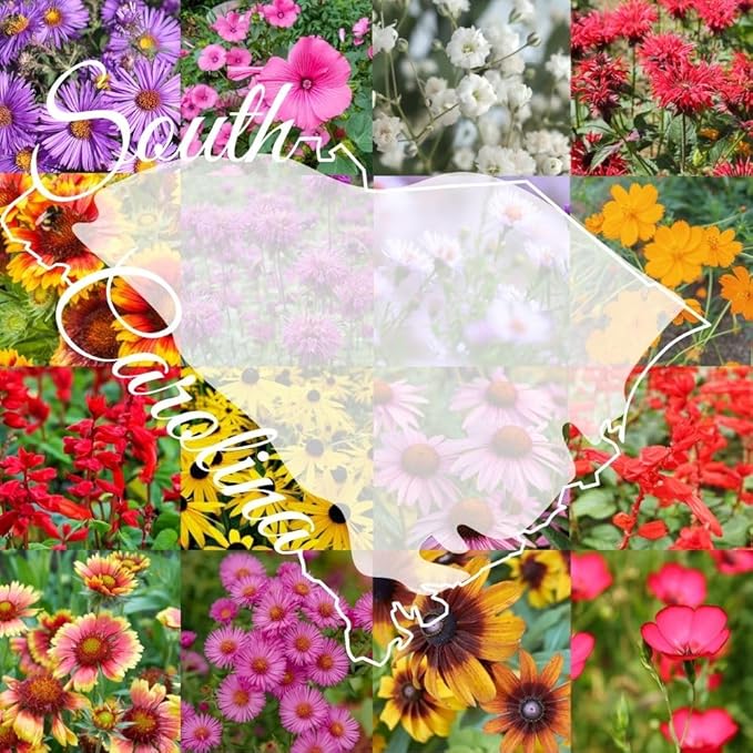 South Carolina Bulk Perennial Wildflower Seed Mix 1lb Covers 2,000sq-ft - Attract Pollinators, Multi-Color Blooms - Southeast US Species Plant in Spring/Fall, Earth-Friendly Packaging (1/4 Pound)