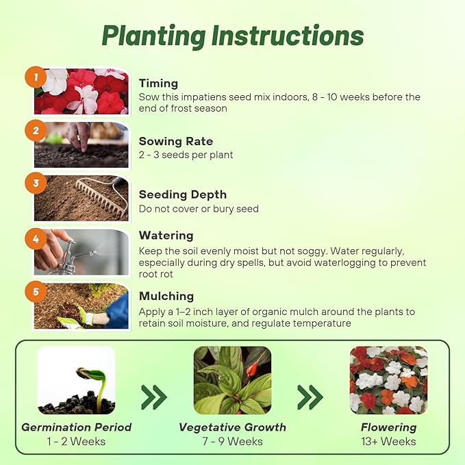 Outsidepride Xtreme Hot Mix Impatiens Flower Seeds - 150 Pcs Annual, Compact & Pollinator Friendly, Impatiens Seeds for Planting w/Vibrant, Abundant Blooms for Shade Gardens & Container Displays