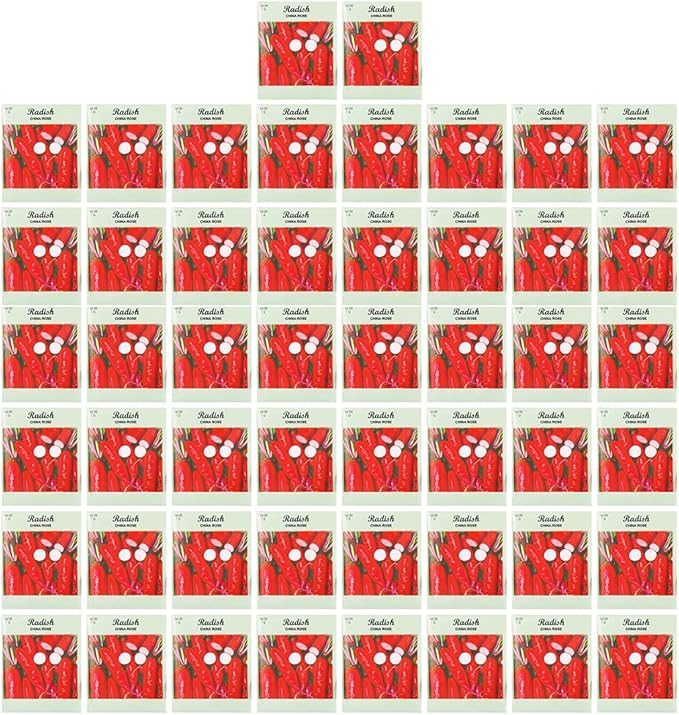 Set of 50 Radish China Rose Vegetable Seed Packs - 100% GMO Free - Heirloom - Black Duck Brand (50, Radish- China Rose)