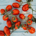 Martino's Roma Heirloom Sauce Tomato - 50 Seeds - Italian Heirloom Paste Tomato, Great for Canning, Non-GMO Heirloom Roma Tomato Seeds for Planting in The Home Garden, Thresh Seed Company