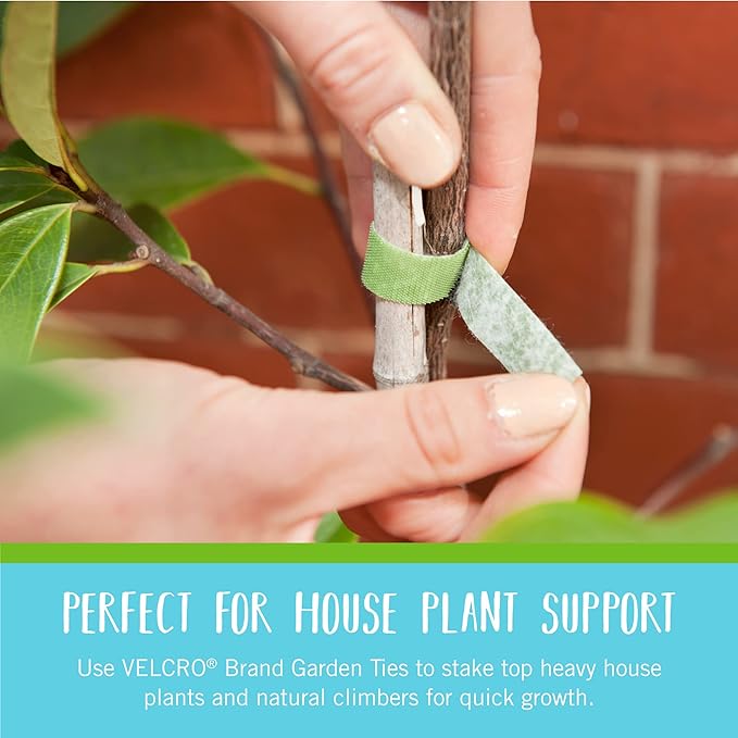 VELCRO Brand VEL-30087-AMS ONE-WRAP Ties Starter Pack for Container Gardens or Houseplants, 12pcs, Pre-Cut, 6 in x 1/2 in, Green-Recycled Plastic