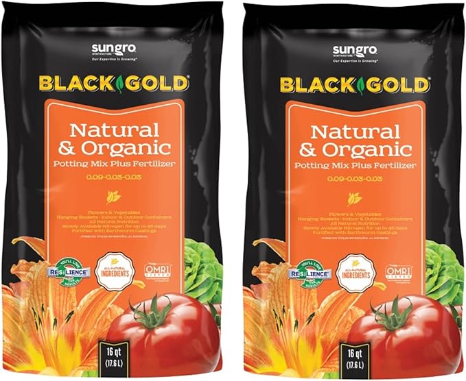 Black Gold Organic in/Outdoor Potting Soil, 16 Quart Bag (2)