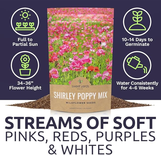 Shirley Poppy Seeds – Mixed Colors – Bulk Quarter Pound Bag – Over 800,000 Open Pollinated Non-GMO Wildflower Seeds – Papaver rhoeas