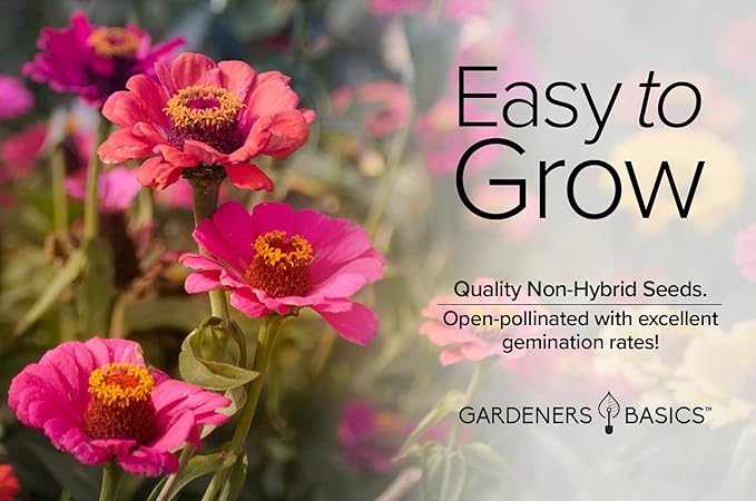 Gardeners Basics Zinnia Seeds for Planting Outdoors Flowers (Thumbelina) - Flower Seed Packet Annual Heirloom, Non-GMO Variety, 800mg Seeds Great for Summer Seeds for Flower Gardens
