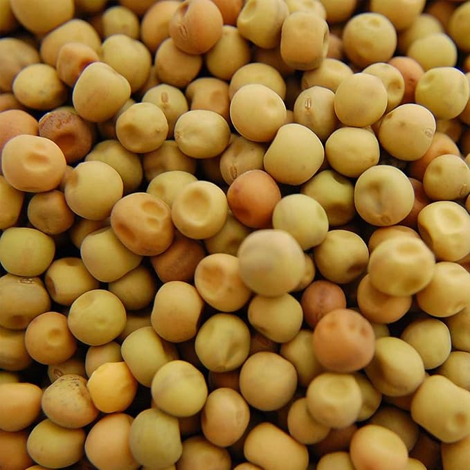 Dun Pea Sprouting Seeds - 2.5 Lbs - Dried Dun Peas - Edible Seeds, Gardening, Hydroponics, Growing Salad Sprouts & Microgreens, Planting, Food Storage, Soup & More