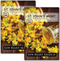 Sow Right Seeds - St John’s Wort Seeds for Planting - Non-GMO Heirloom Packet with Instructions to Plant & Grow an Outdoor or Indoor Herb Garden - Native Wildflower with Medicinal & Culinary Uses (2)