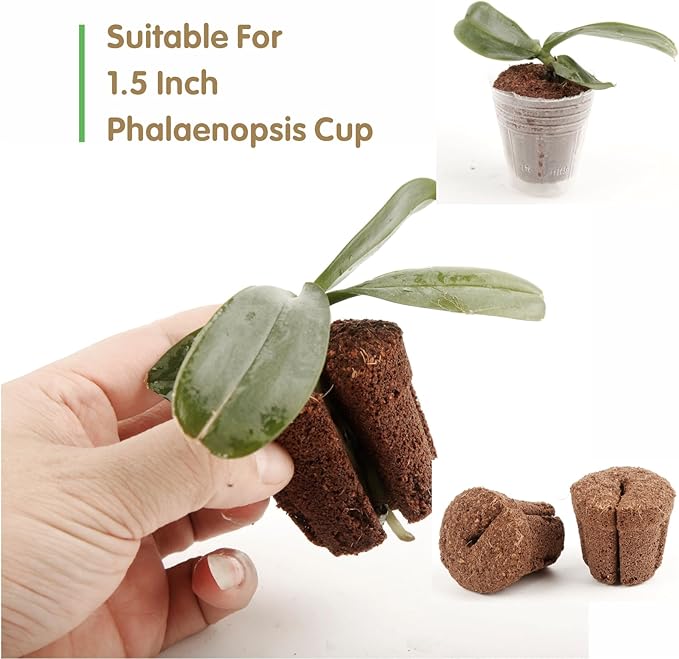 50pcs 1.5 Inch Phalaenopsis Orchid Growing Plugs, Hydroponic Growing Media for 1.5 Inch Orchid Cups, Breathable Planting Cubes for Orchid Seedlings and Transplanting