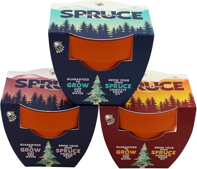 BUZZY Seeds Spruce Tree 12-Pack Mini Terracotta Grow Kits – Sustainable Tree Growing Kit, Includes Everything to Sprout Evergreens, Perfect for Earth Day, Party Favors, or Corporate Gifts