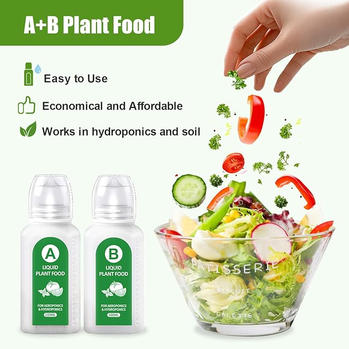 Salad Seed Pods, 12 Pods Grow Anything Kit for All Hydroponics Growing Systems with Nutrient & 300mg Seeds of Buttercrunch, Black Seeded Simpson, Oakleaf, Prizehead, Red Salad Bowl and so on